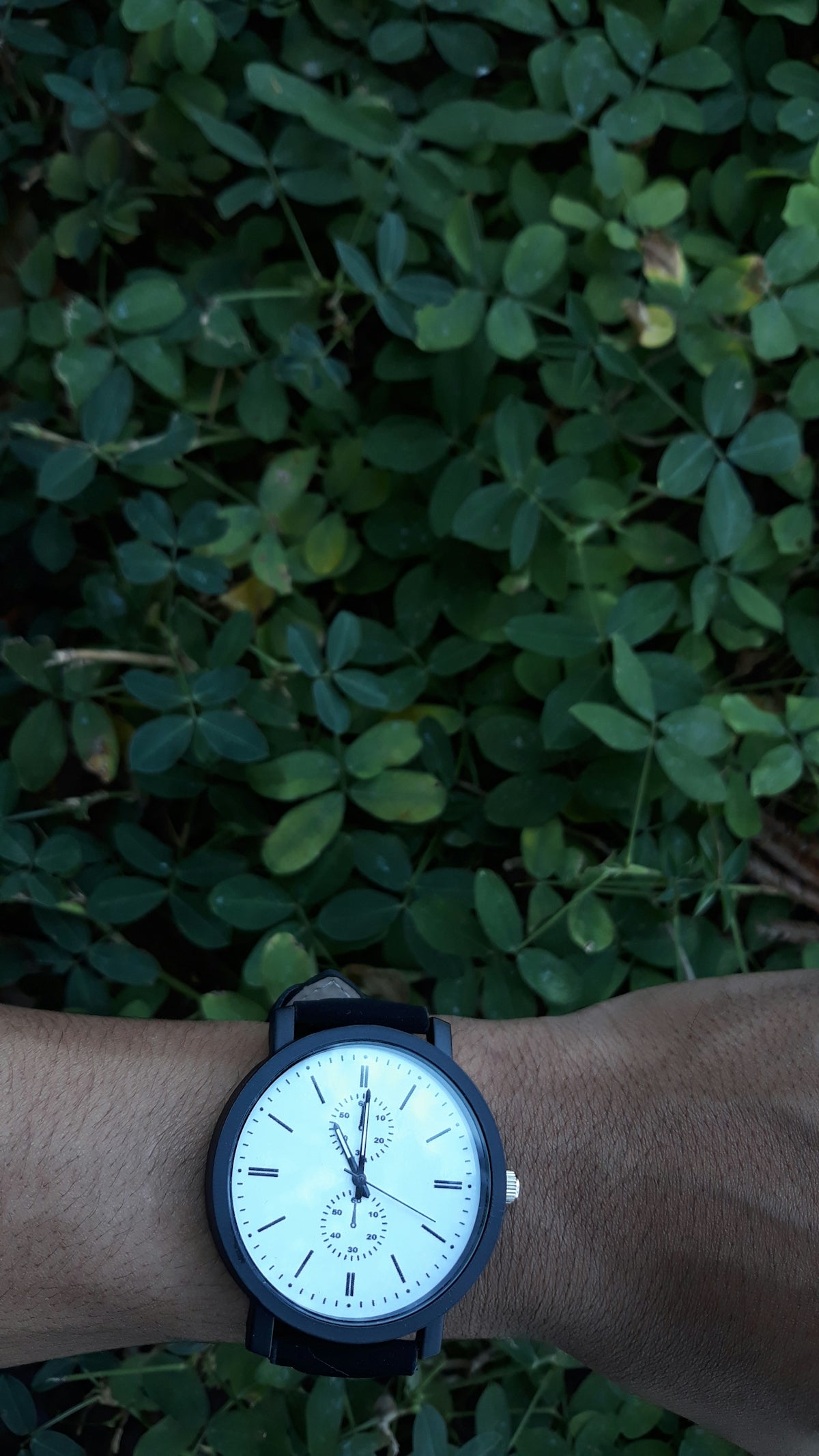 round white and black chronograph watch with black leather band